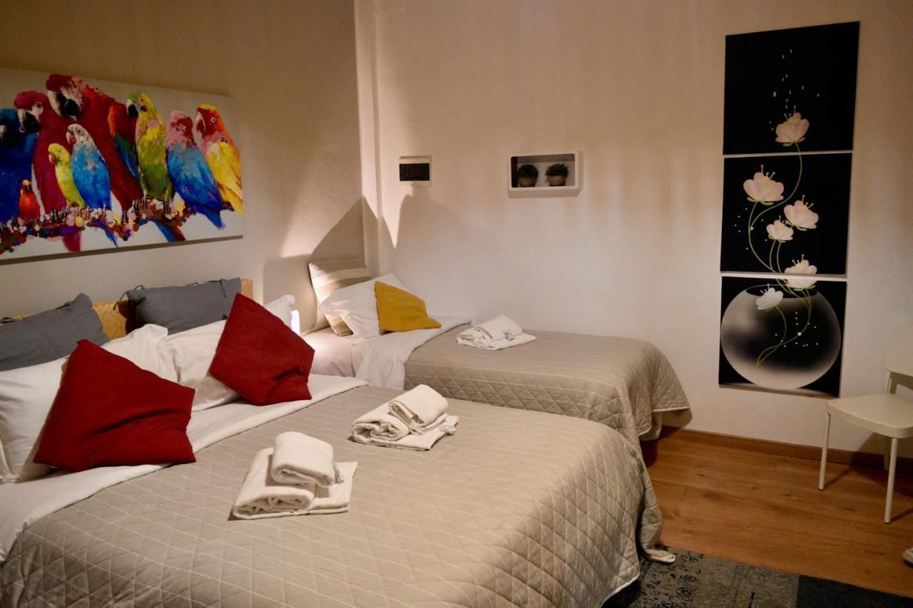B&B Maggiore 58 Bologna Eksteriør bilde